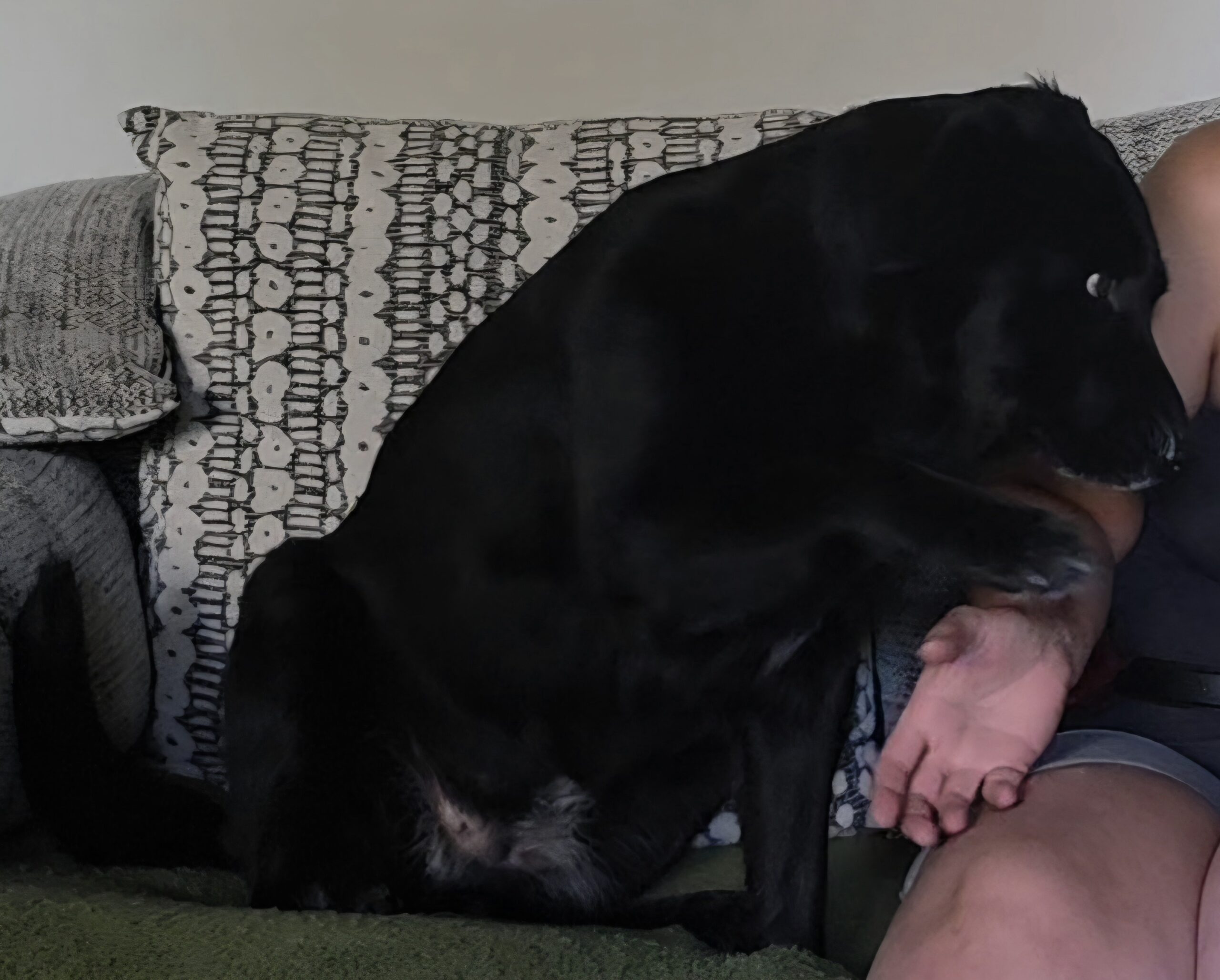 Consent Based Handling