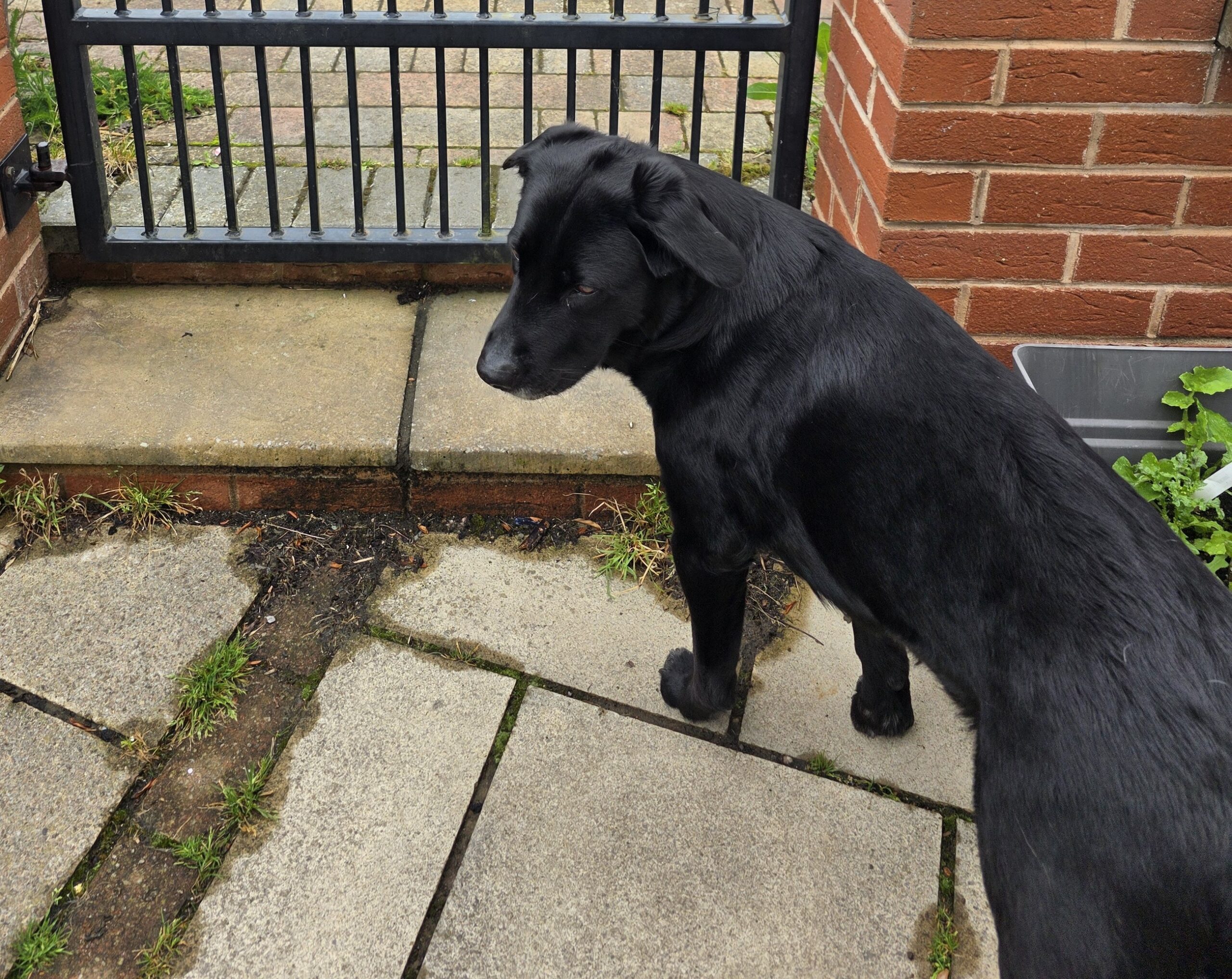 Gentle Watching, Not Scanning
